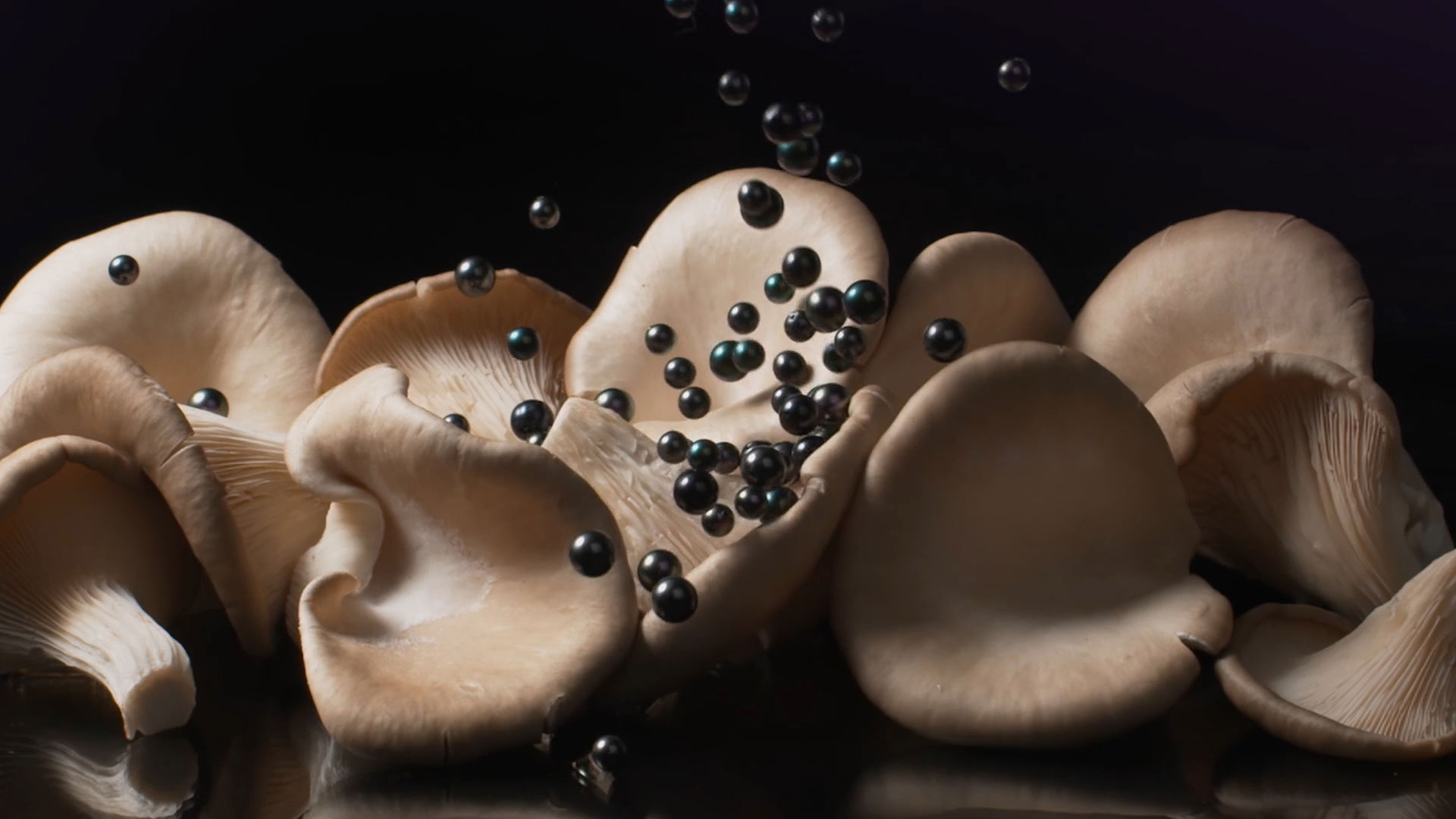Several oyster mushrooms with small black spheres falling onto them, set against a dark background.
